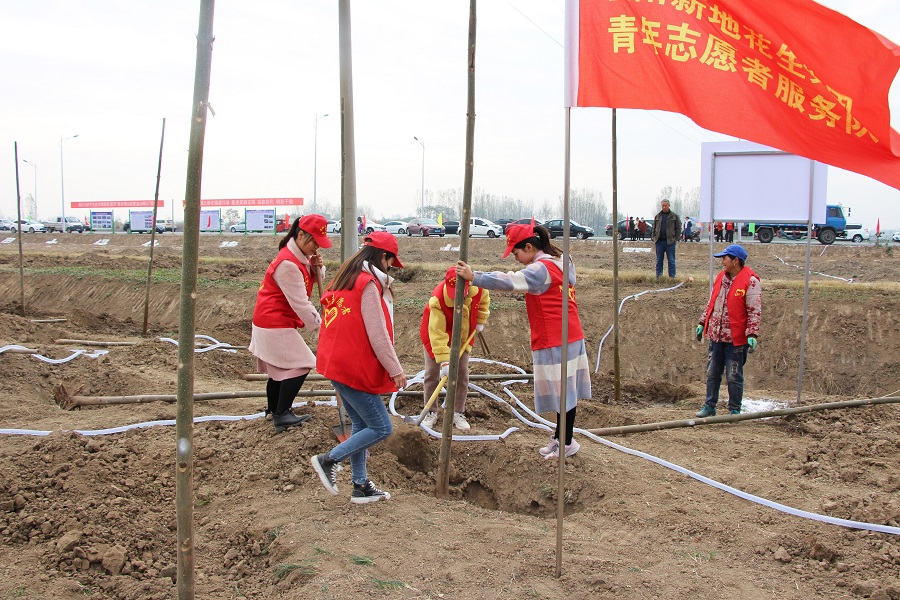 正陽新地花生集團志愿者冬季植樹活動現場